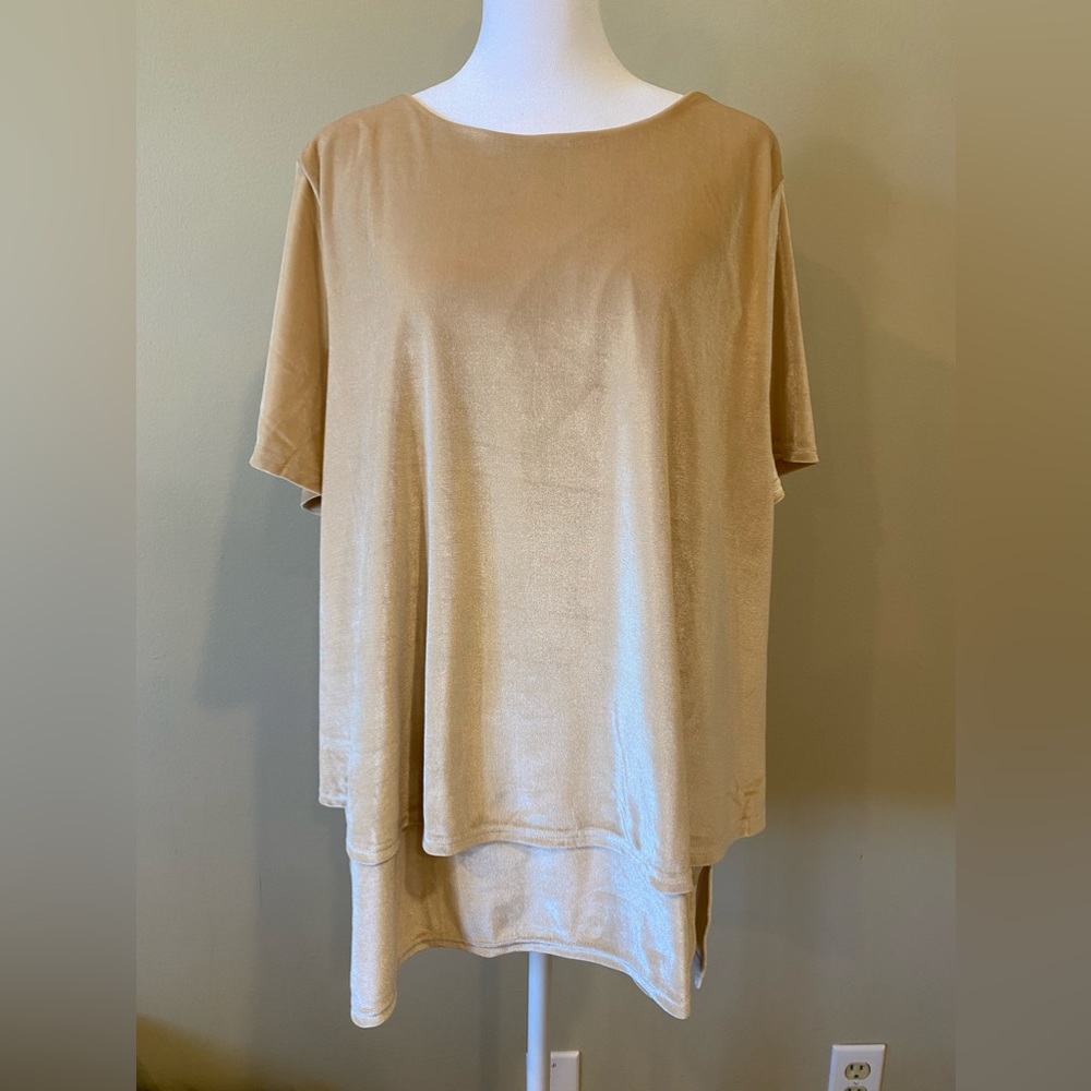DG2 By Diane Gilman Velvet Blouse Size XL